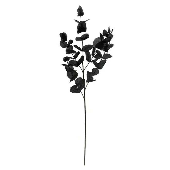 Black Eucalyptus Spray, 31″