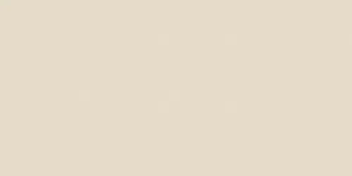 Coats Invisible Zipper 20″ To 22″-Natural – F84 22-256