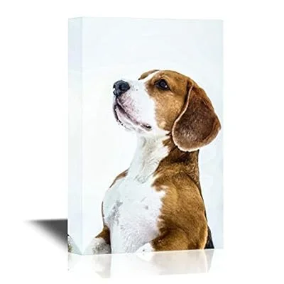 Dogs Breeds Canvas Wall Art – Standing Funny Beagle Dog – Gallery Wrap Pet Art for Modern Home Art | Ready to Hang – 12×18 inches