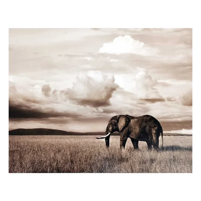 Elephant Landscape Canvas Wall Art, 28×22