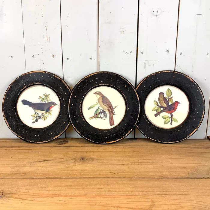 Round Bird Prints – Set of 3Cosmetics